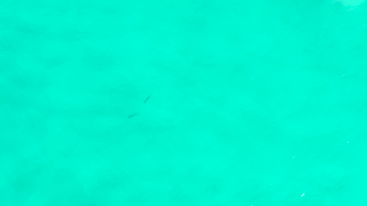 Bright green-blue water with soft darker shapes under the surface.
