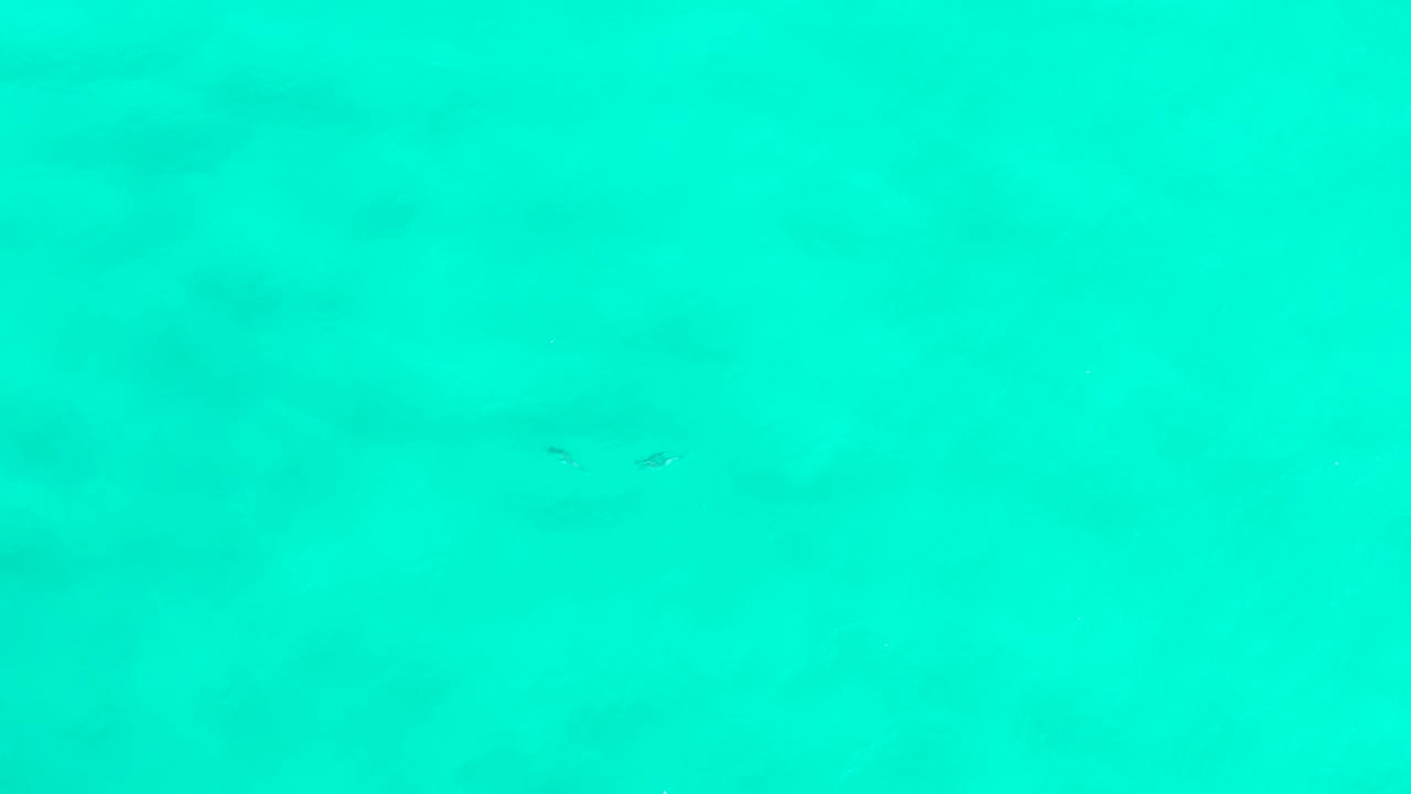 Pale turquoise sea in San Jose del Cabo with tiny dark fish marks near the upper area and a soft, mottled seafloor below, no visible people.