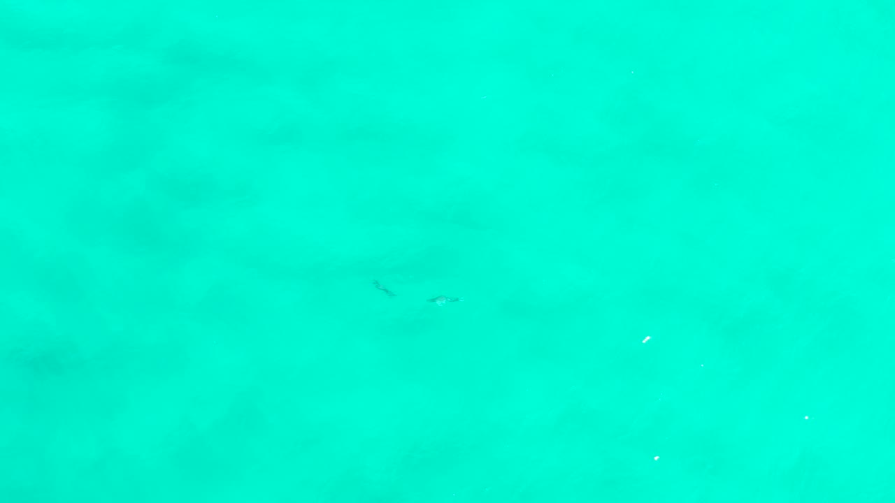 Open turquoise water in San Jose del Cabo with scattered small dark fish marks and a faint horizontal change in water tone, no visible people.