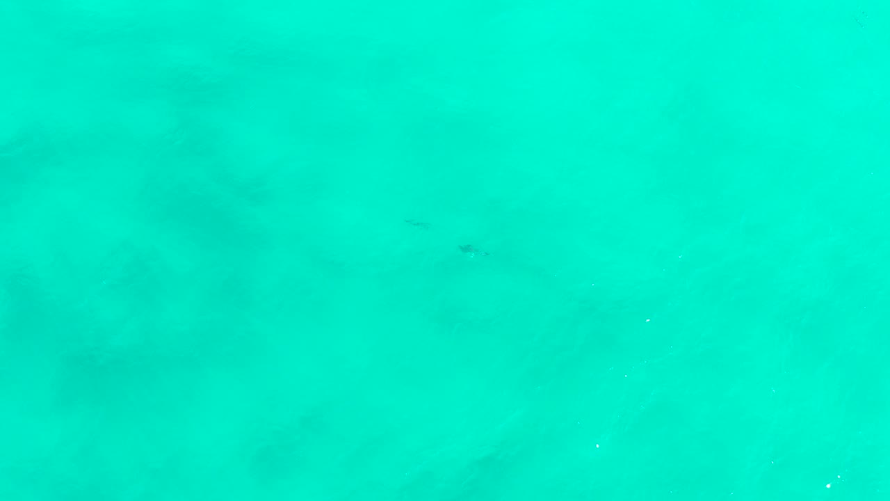 Clear turquoise underwater view in San Jose Del Cabo with pale sandy color below, faint darker patches, tiny fish shapes, and no visible people.