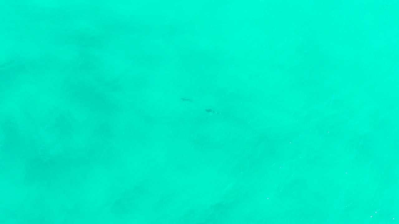 Clear teal water with faint fish and darker patches