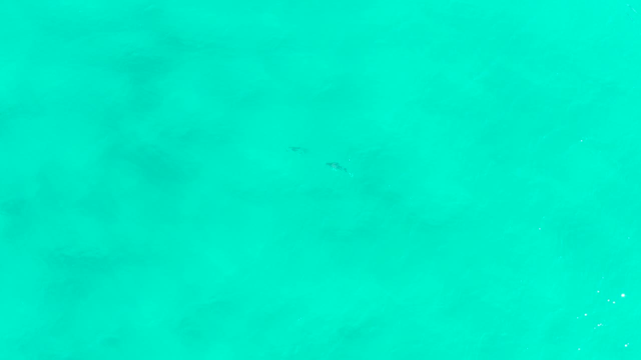 Shallow turquoise water in San Jose Del Cabo shows small dark fish silhouettes crossing over muted bottom shadows, with no visible people or objects.