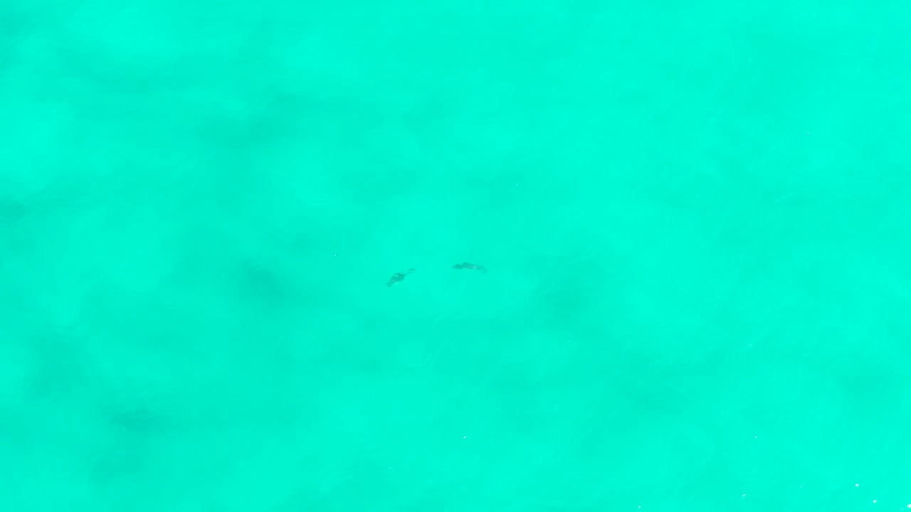 Turquoise-green underwater view in San Jose Del Cabo, Mexico, with faint sandy patches, a few tiny dark fish near the upper and lower areas, and no visible people.