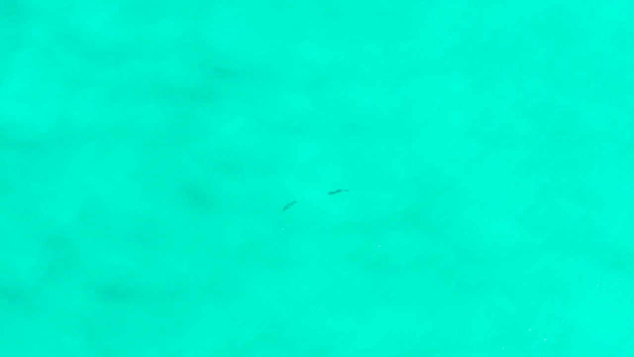 Clear turquoise underwater view in San Jose Del Cabo, Mexico, with several tiny fish most noticeable near the upper edge and diffuse light across the sea floor, no visible people.
