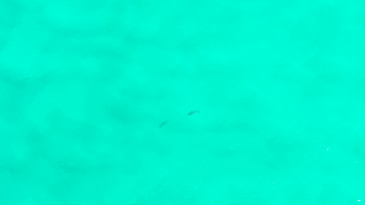 Aqua underwater frame from San Jose Del Cabo, Mexico, with faint dark fish marks across the upper half, soft green color variation, and no visible people.