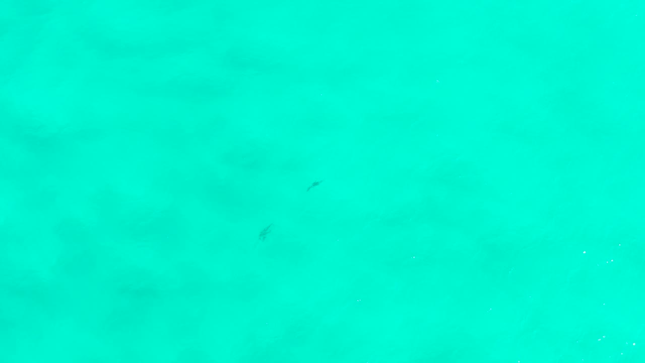 Overhead view of emerald green ocean water in San Jose Del Cabo, Mexico, with faint sandy patches, a few small dark fish shapes, and no visible people.