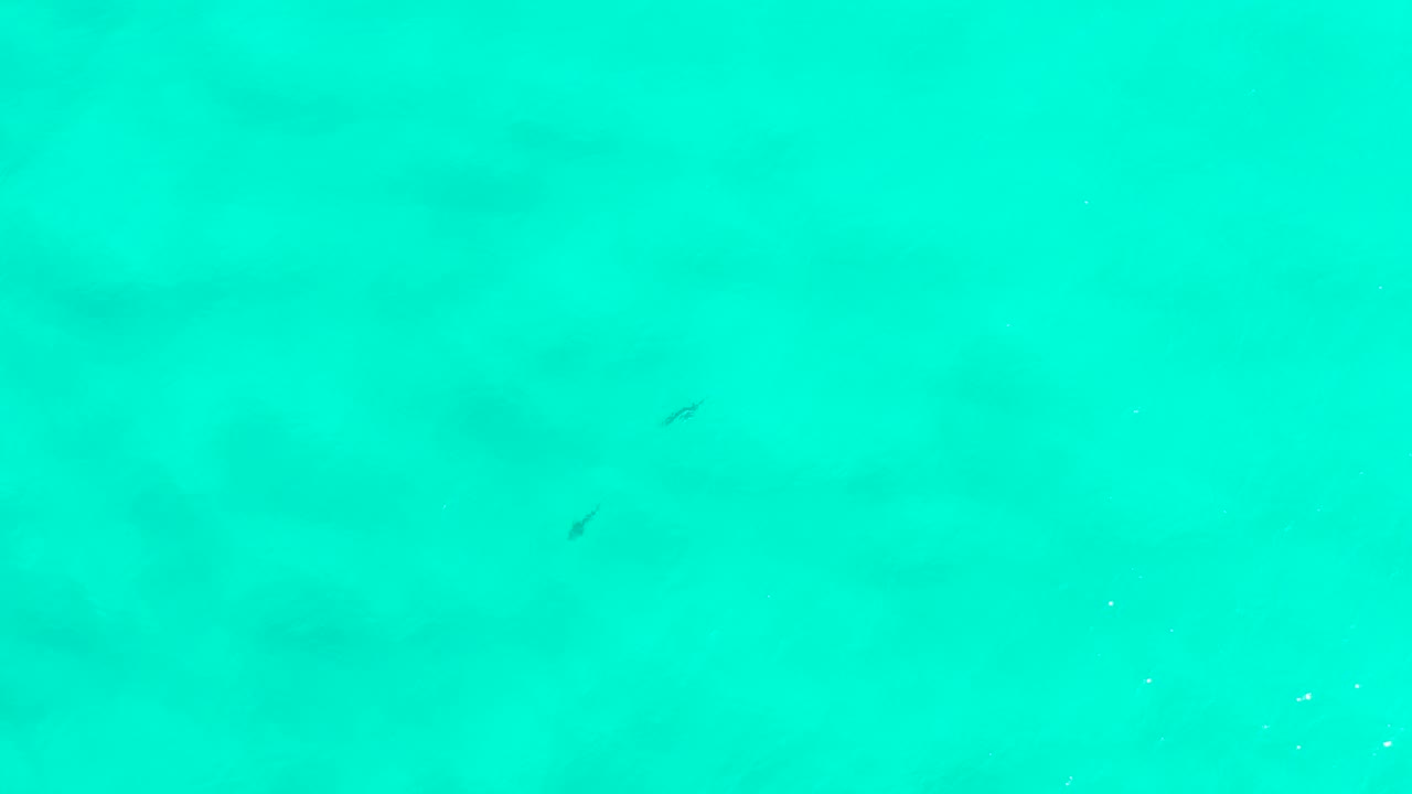 Overhead turquoise water in San Jose Del Cabo, Mexico, shows faint fish shapes near the upper and lower portions of the frame, mottled underwater patches, and no visible people.