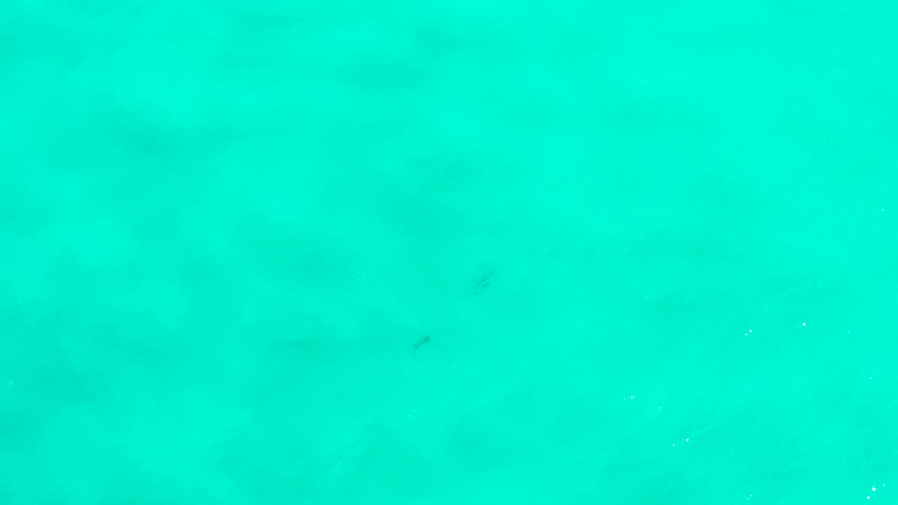 Clear turquoise water in San Jose Del Cabo contains several small dark fish marks against pale underwater color shifts, with no visible people.