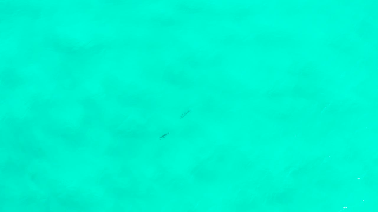 Straight-down aerial view of turquoise water in San Jose del Cabo, Mexico, with soft darker patches under the surface and no visible people.