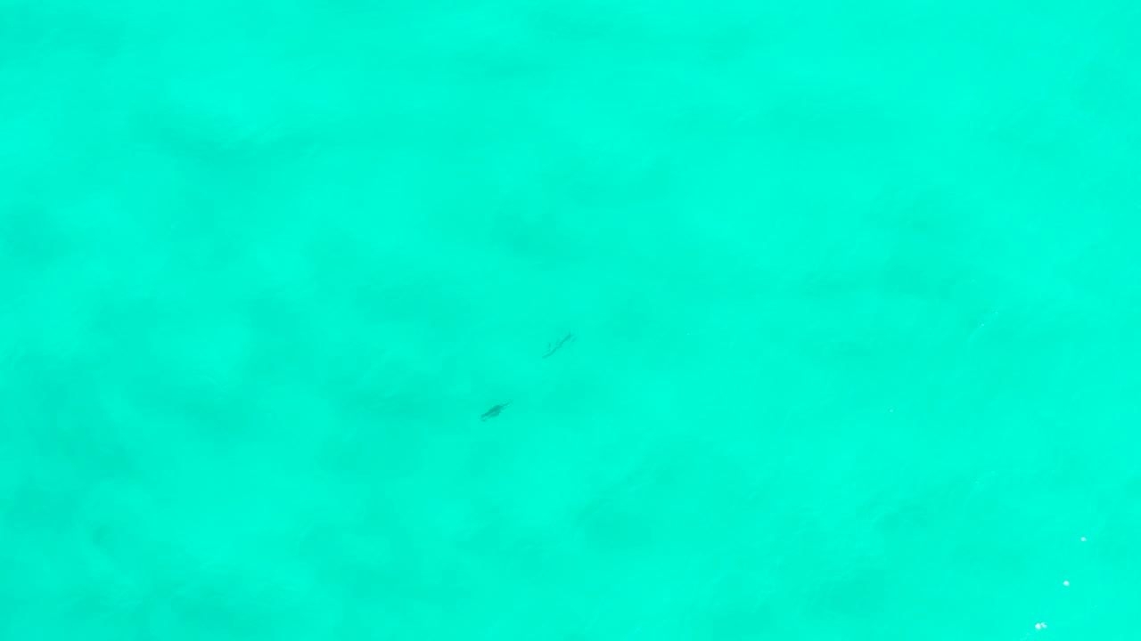 Overhead San Jose del Cabo water frame with blue-green color, slight surface movement, faint submerged shadows, and no visible people.