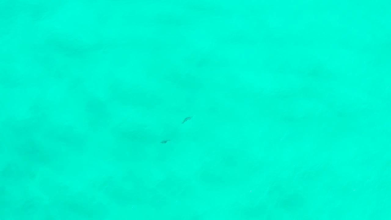Aqua water fills the San Jose del Cabo aerial frame, with small white highlights, blurred darker areas below, and no visible people.