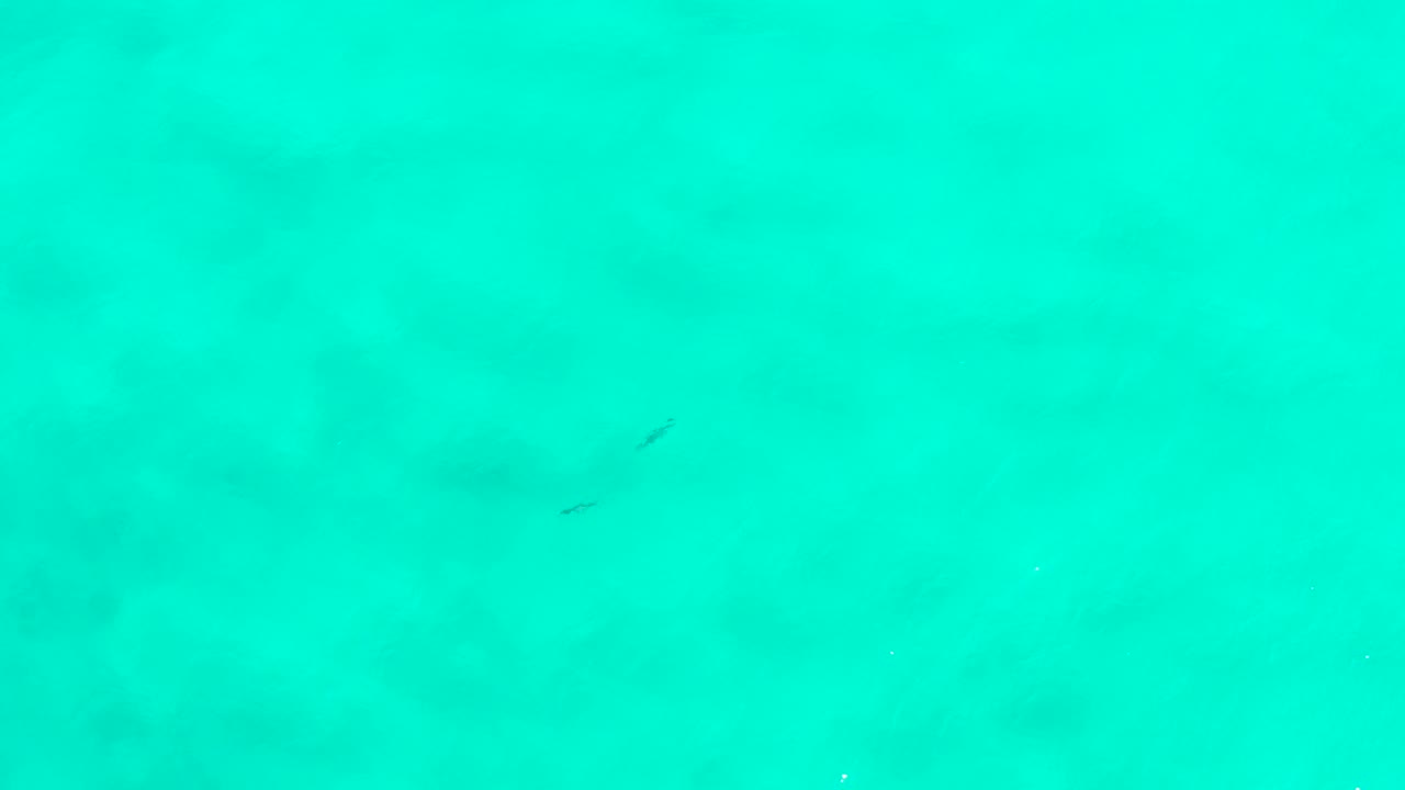 Overhead turquoise water with soft shadowy patches below.
