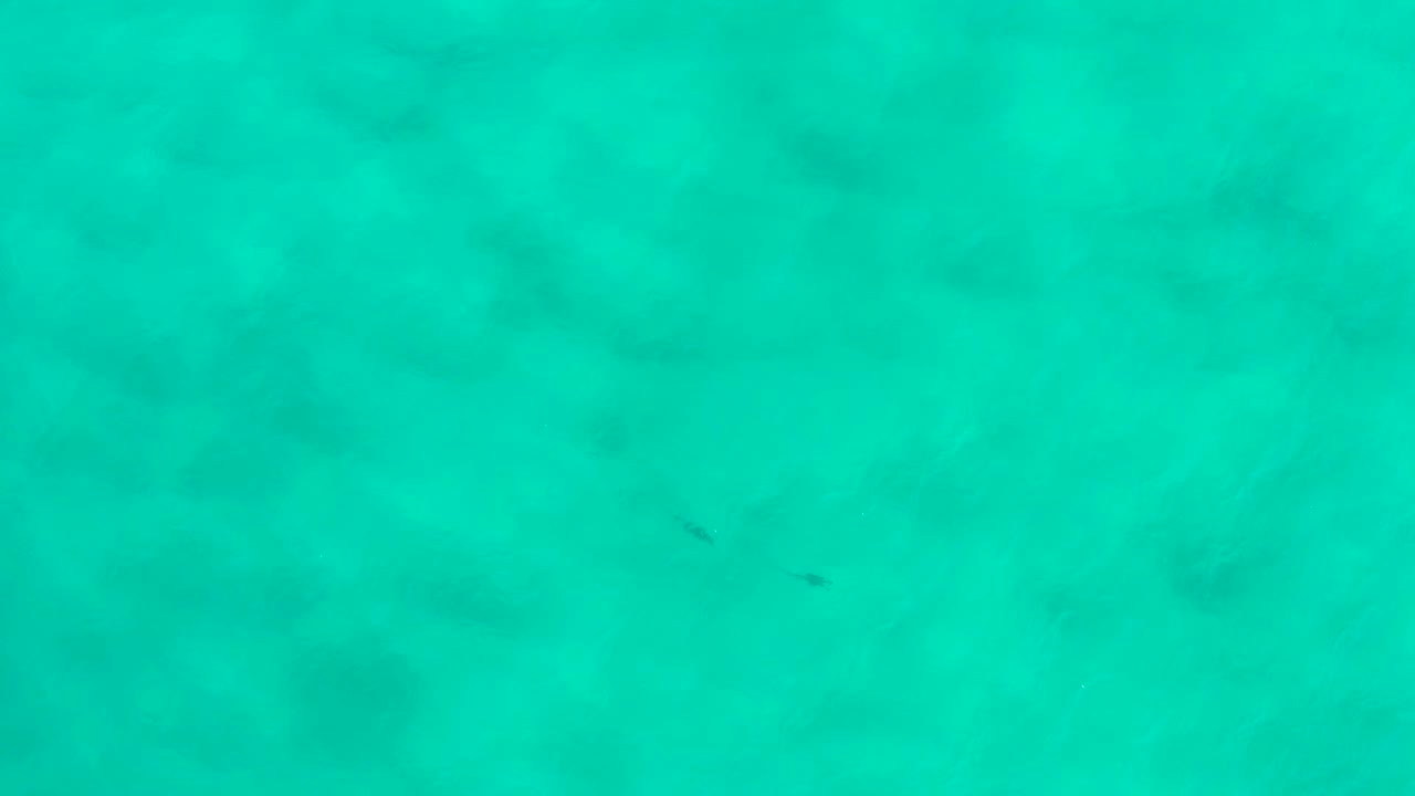 Overhead view of turquoise water in San Jose Del Cabo with faint darker seafloor patches and no visible people at the start of the clip.