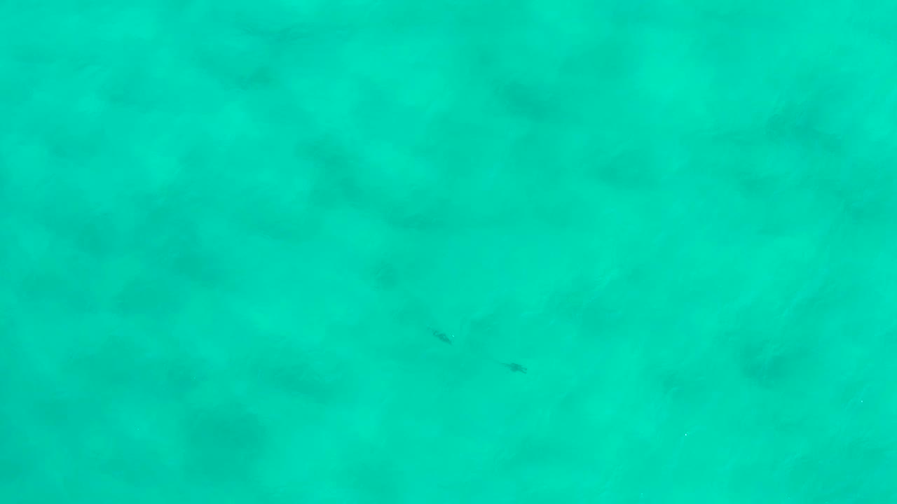 Overhead San Jose Del Cabo water frame with a small dark fish-like shape below the surface, muted seafloor shadows, and no visible people.