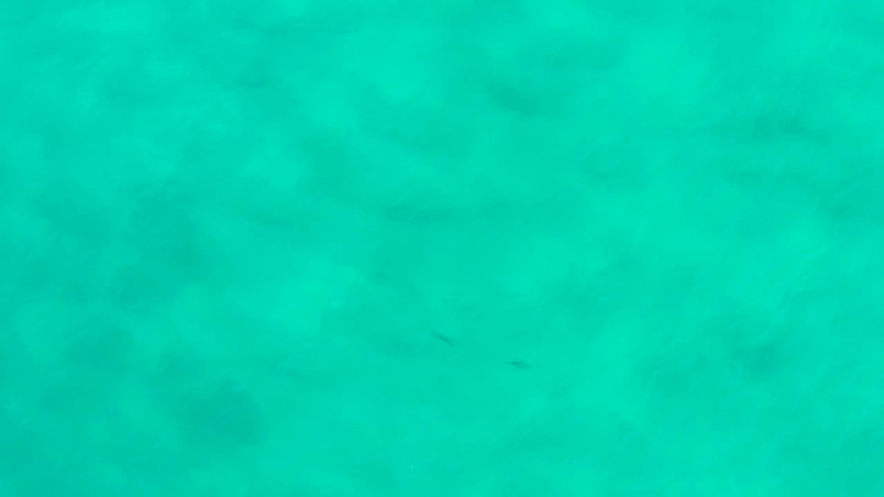 Overhead view of clear turquoise water in San Jose Del Cabo with a tiny dark fish-like mark, soft darker patches, and no visible people.