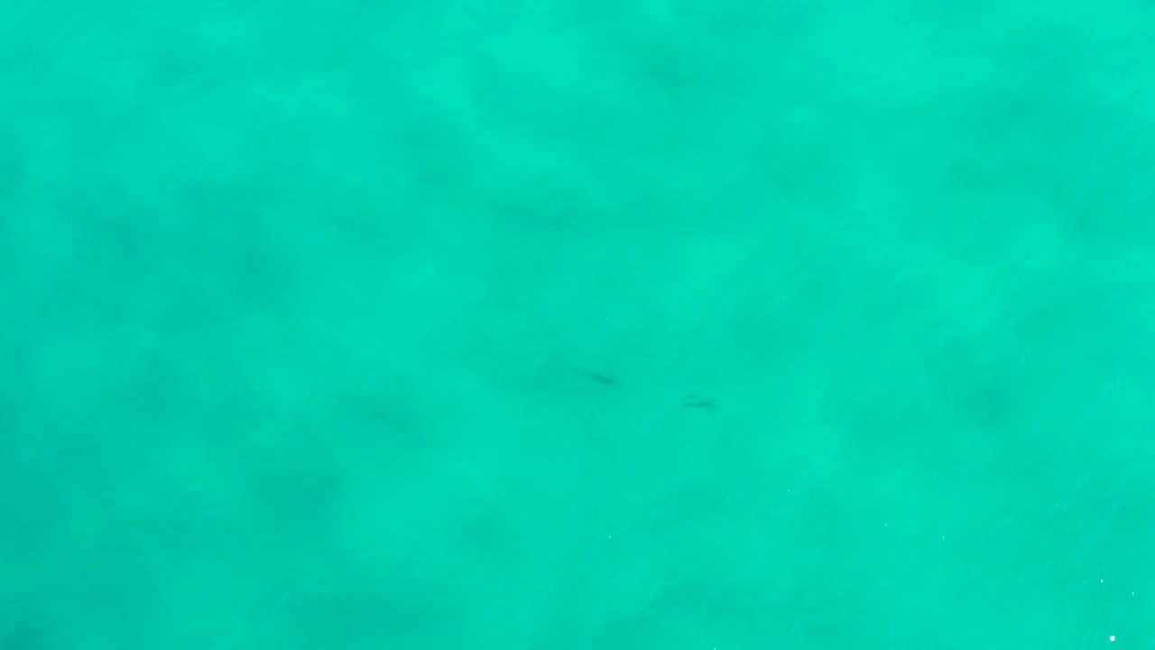 Turquoise water surface with faint underwater shadows.
