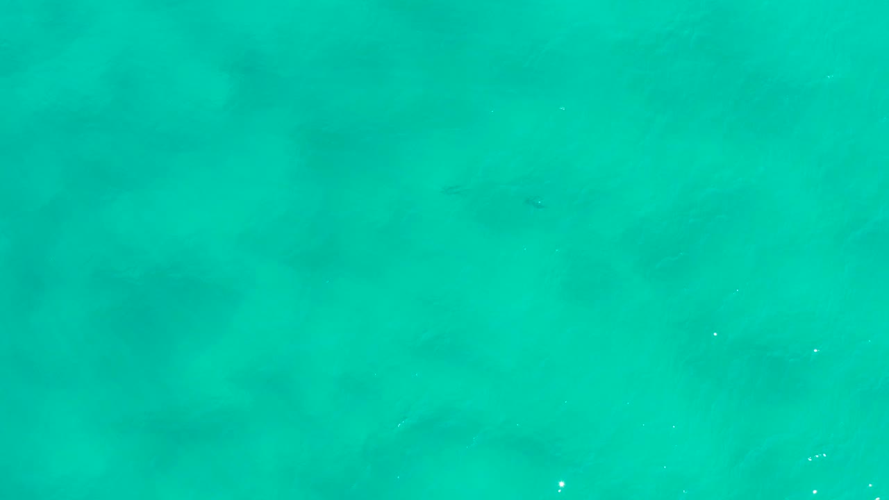 Sea-green ocean surface in San Jose Del Cabo, Mexico, with broad cloudy underwater shadows and no visible people.