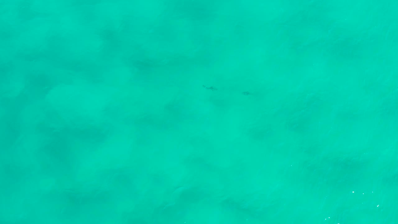 Bright turquoise water in San Jose Del Cabo, Mexico, with mottled darker areas beneath the surface and no visible people.