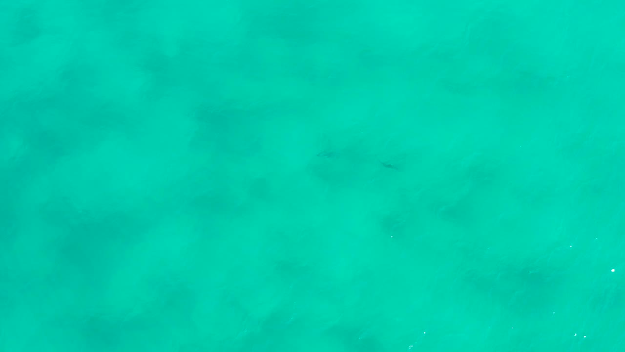 High-angle sea-green water in San Jose Del Cabo, Mexico, with scattered white surface glints and no visible people or boats.
