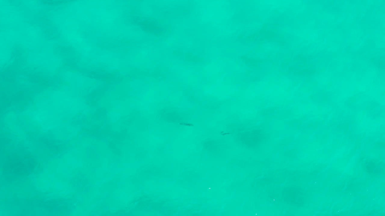 Overhead view of turquoise sea water in San Jose Del Cabo, Mexico, with soft darker patches below the surface and no visible people.