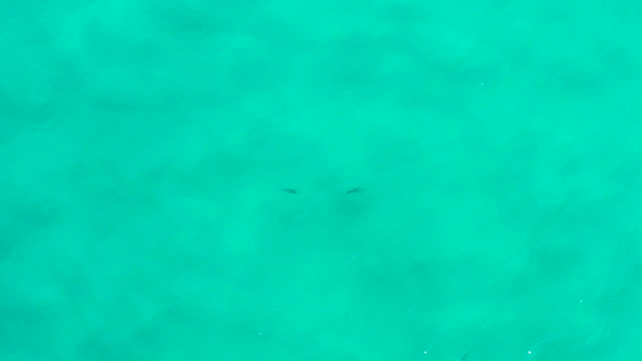 Overhead turquoise water in San Jose Del Cabo, Mexico, with faint dark marine shapes near the upper part of the frame and no visible people.