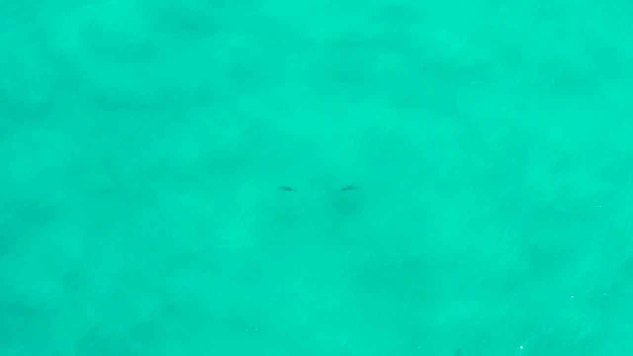 Clear turquoise water with two small dark shapes underwater.