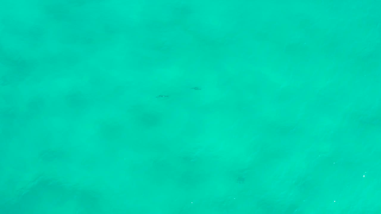 Shallow turquoise water in San Jose Del Cabo, Mexico, with tiny dark fish shapes near the middle and no visible people.