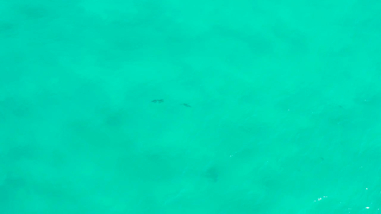 Turquoise underwater scene with faint fish shapes and soft seabed shadows.