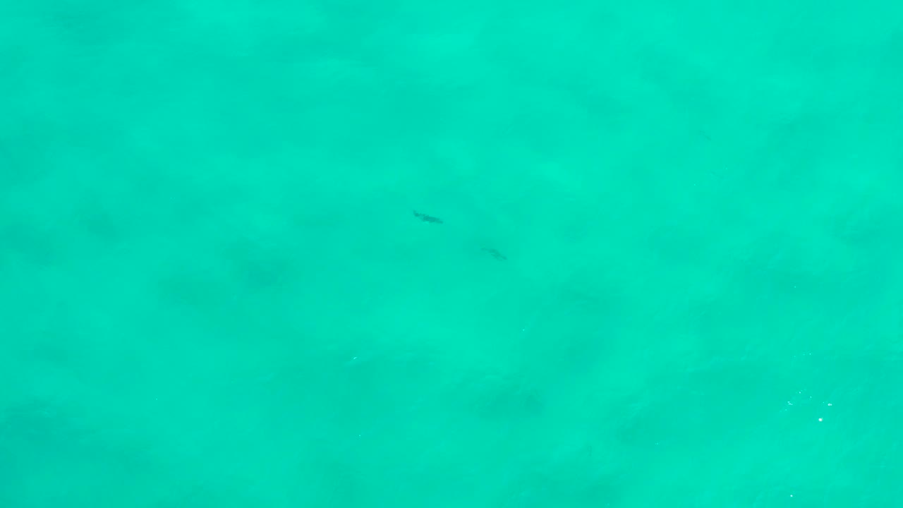 Opening frame of clear turquoise ocean water in San Jose del Cabo, Mexico, with faint submerged dark patches and no visible people.