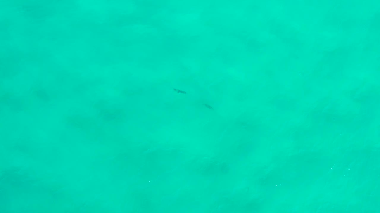 Clear green ocean water fills the frame in San Jose del Cabo, Mexico, with soft underwater shadows spread through the center and no visible people.