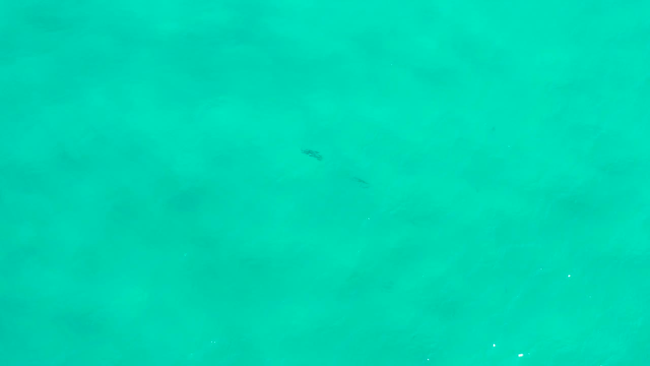 Bright turquoise sea in San Jose del Cabo, Mexico, shows blurred dark forms under the surface, with no shoreline and no visible people.