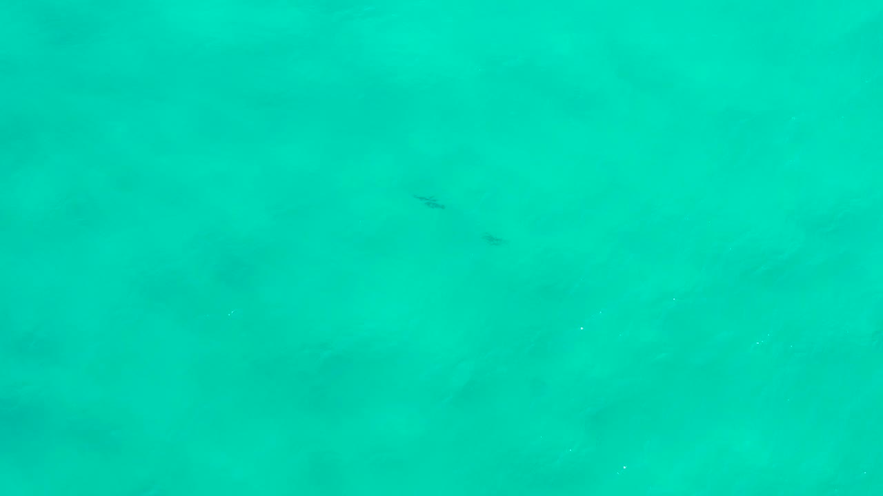 Green-blue ocean water with a darker patch near the lower frame.