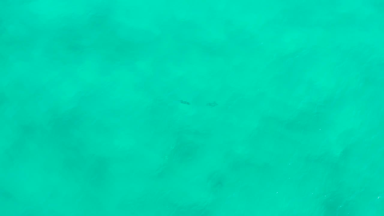 Open green water in San Jose Del Cabo, Mexico, with scattered dark underwater marks and no visible people.