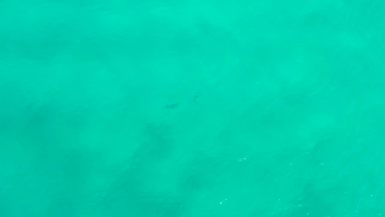 A nearly full-frame view of green San Jose del Cabo seawater shows soft underwater shadow areas and no visible people or structures.