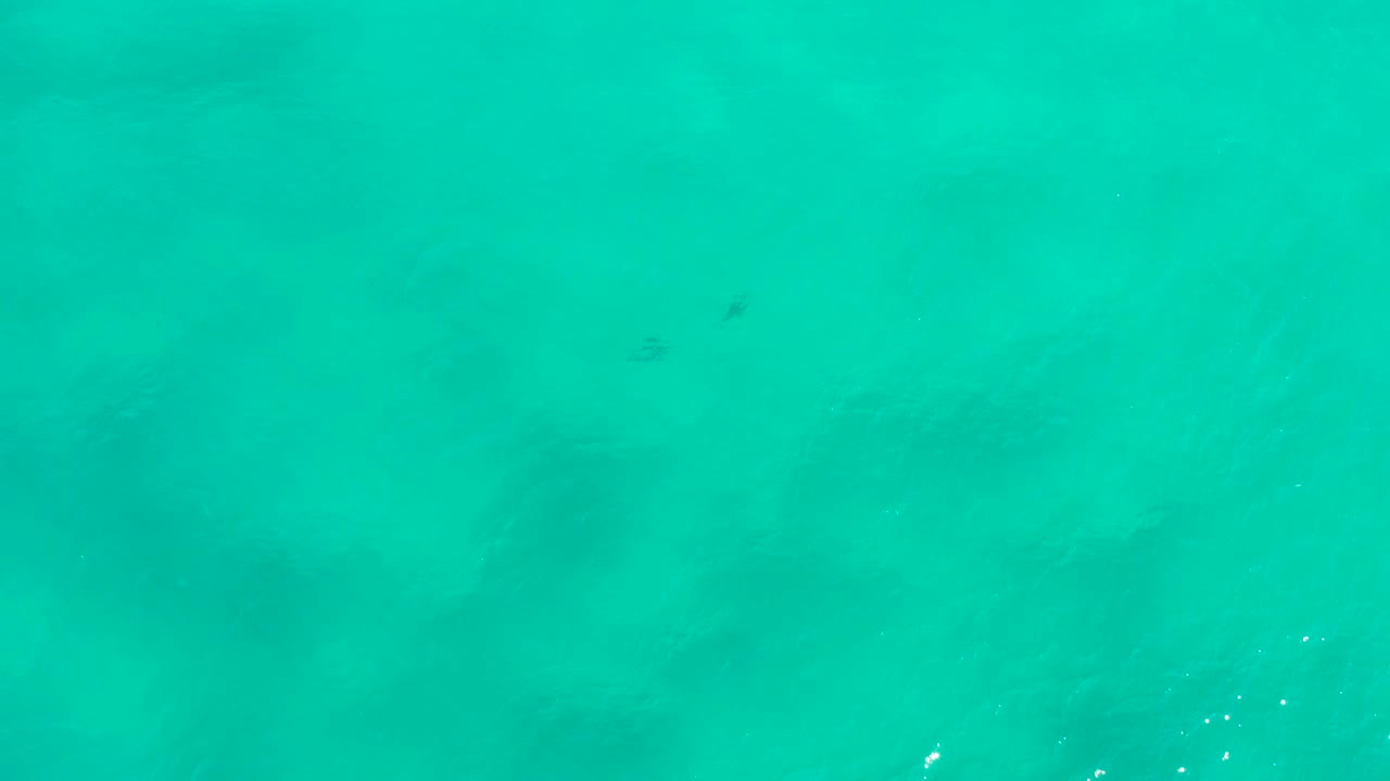 Green-blue water in San Jose del Cabo continues across the frame, with small dark marks under the surface and no visible people.
