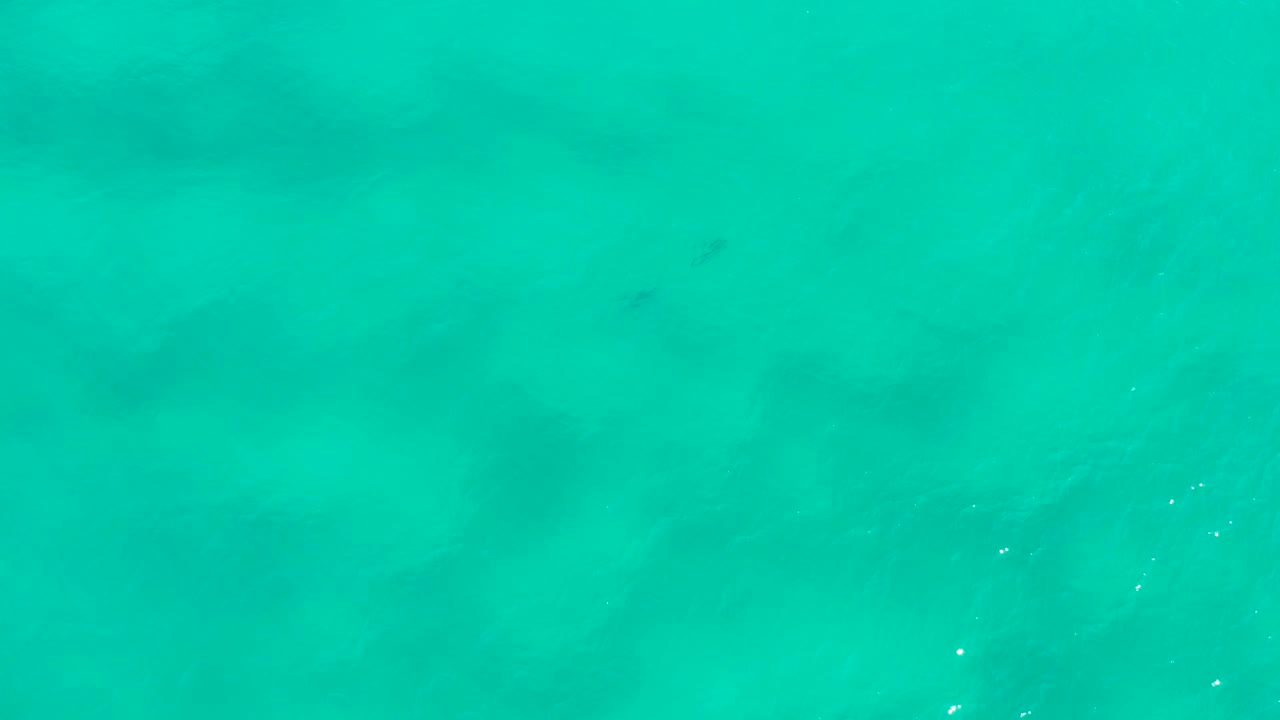 Turquoise-green San Jose del Cabo seawater fills the frame, with small white highlights near the right side and no visible people or boats.