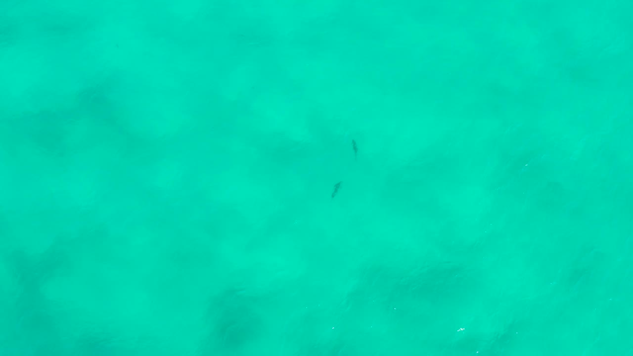 Bright aquamarine water in San Jose del Cabo, Mexico, with faint white surface highlights, mottled darker areas below, and no visible people.