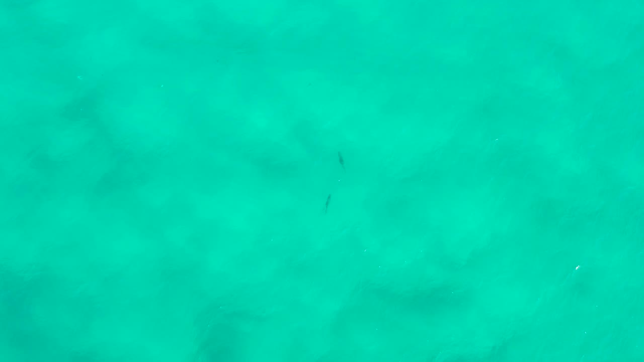 Turquoise sea surface with a dark fish-like mark near the lower middle.