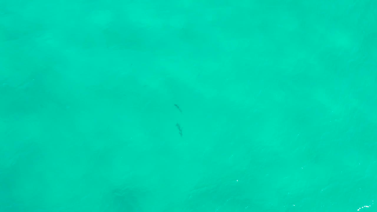 Blue-green ocean water from above in San Jose Del Cabo, Mexico, with darker submerged patches drifting across the middle of the frame and no visible people.