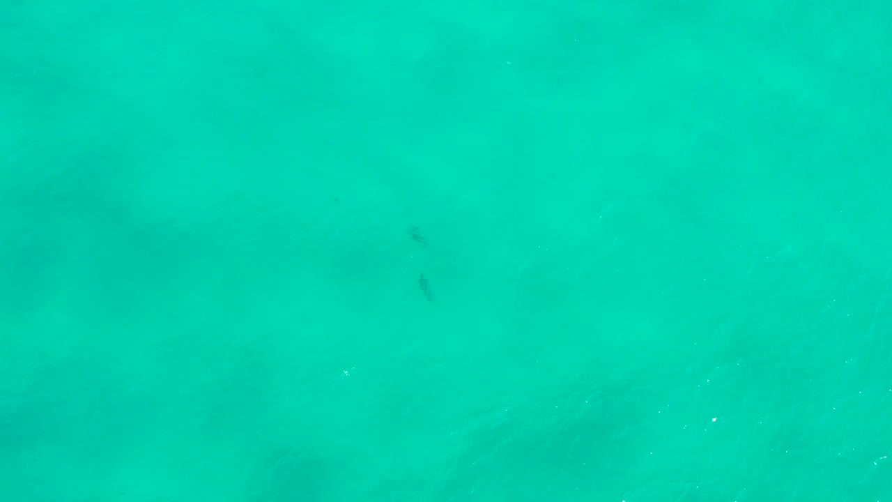 Overhead teal water in San Jose Del Cabo, Mexico, with pale bottom color showing through the center and no visible people.