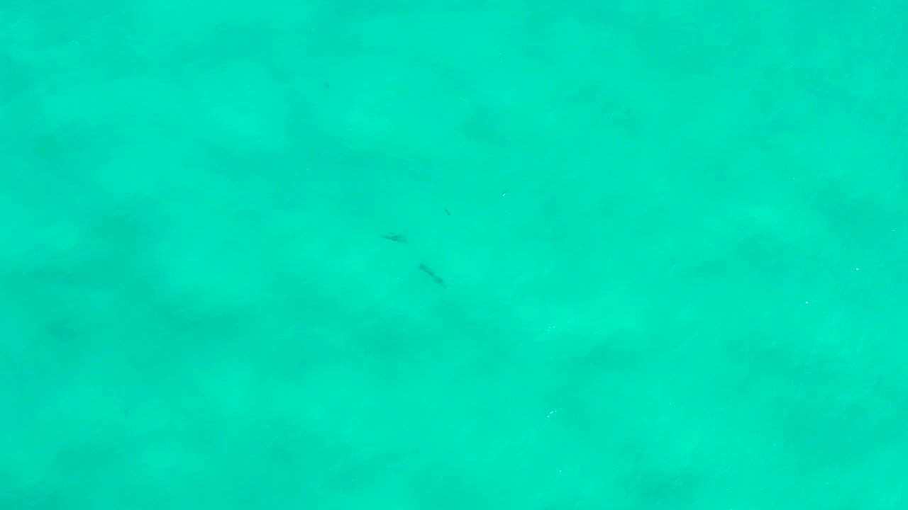 A later underwater view in San Jose Del Cabo, Mexico, with small dark fish spaced across the upper and lower parts of the turquoise frame and no visible people.