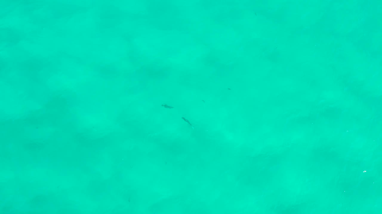 Underwater San Jose Del Cabo frame with blue-green water, faint sandy patches below, small fish near the top and center areas, and no visible people.