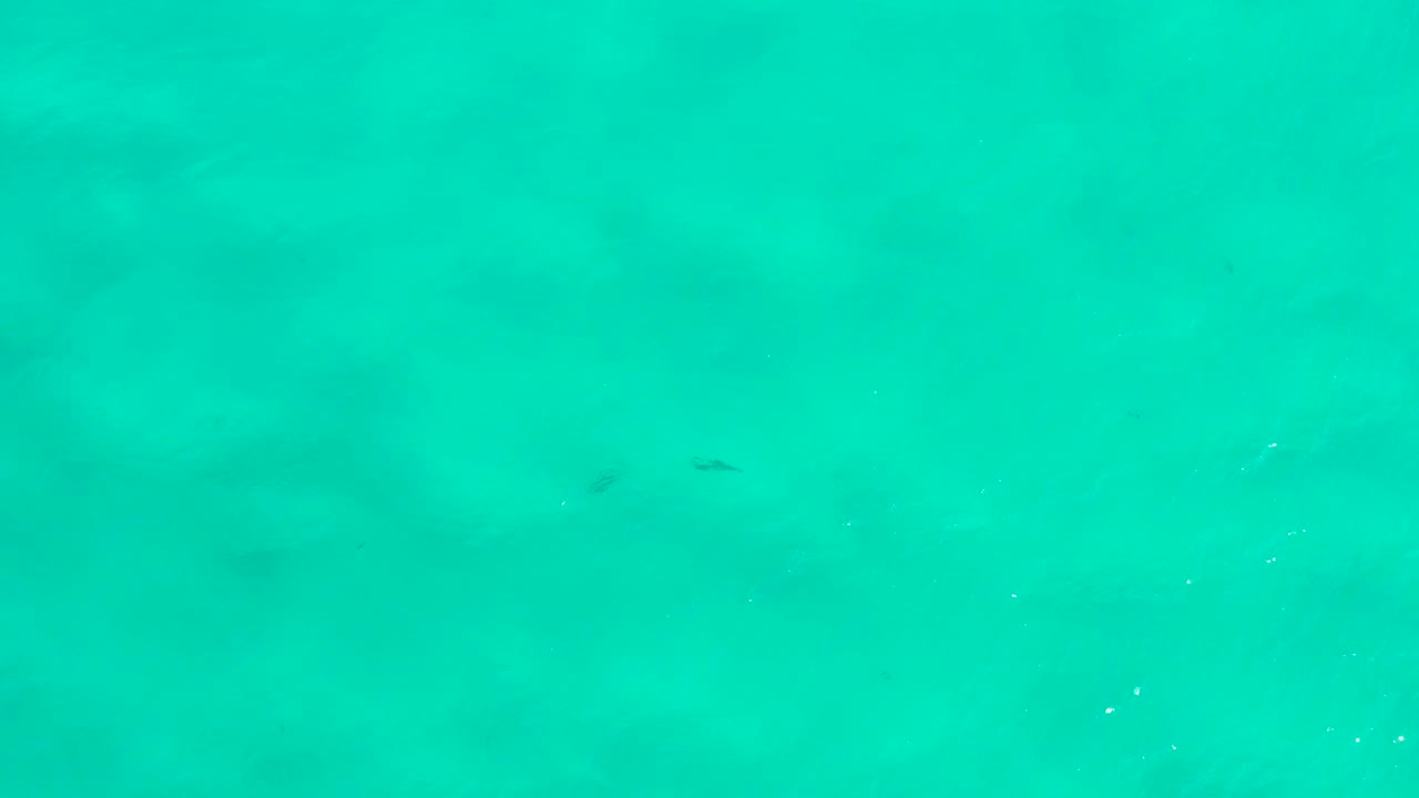Top-down aerial view of turquoise water in San Jose del Cabo, Mexico, with pale seabed tones, faint darker patches, and no visible people.