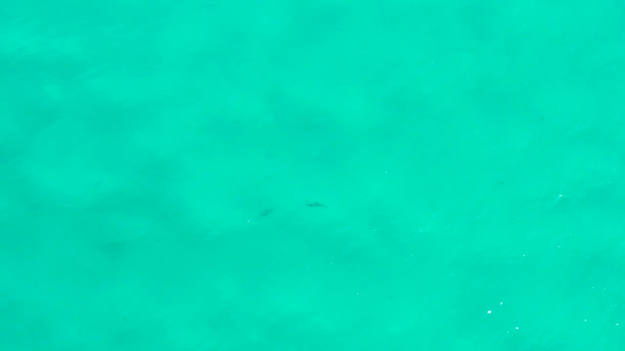 Clear teal water with muted seabed patterns and small dark marks.