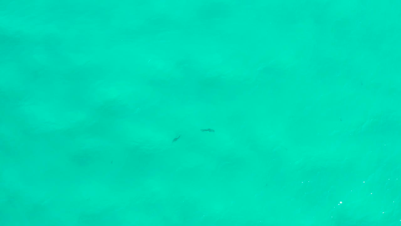 Overhead view of teal sea in San Jose del Cabo, Mexico, showing pale underwater patches, faint fish-like dark forms, and no visible people.