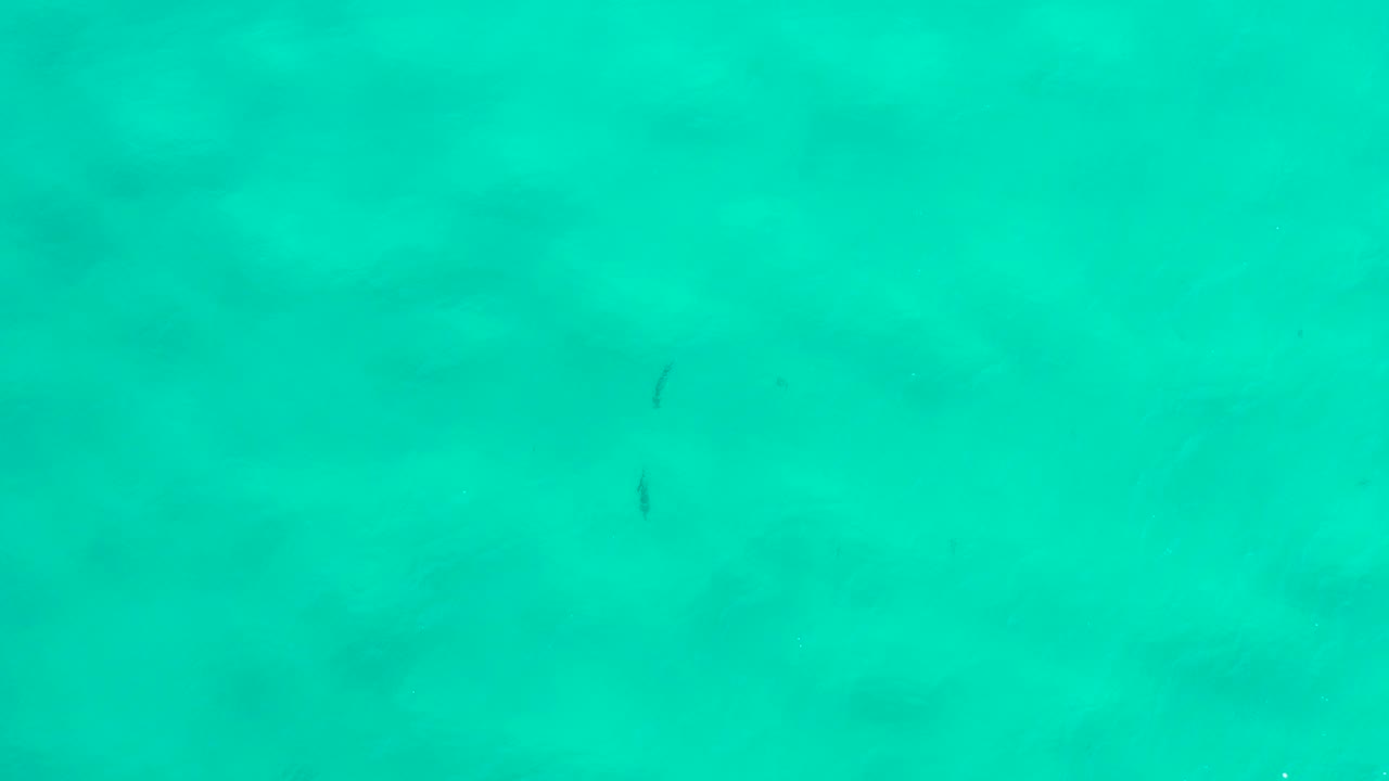 Overhead view of turquoise ocean water in San Jose del Cabo with faint darker areas below the surface and no visible people.