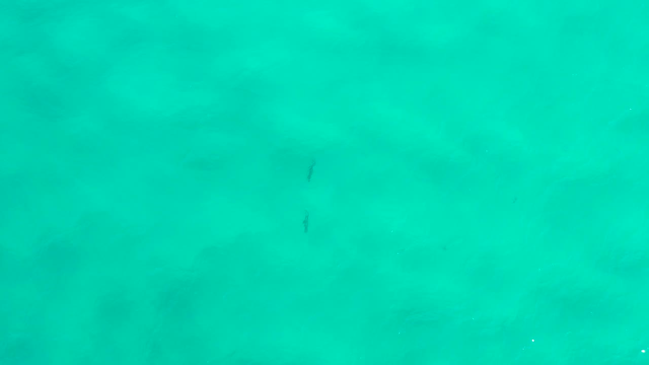 Turquoise sea surface in San Jose del Cabo shows mottled darker patches under the water and no visible people.