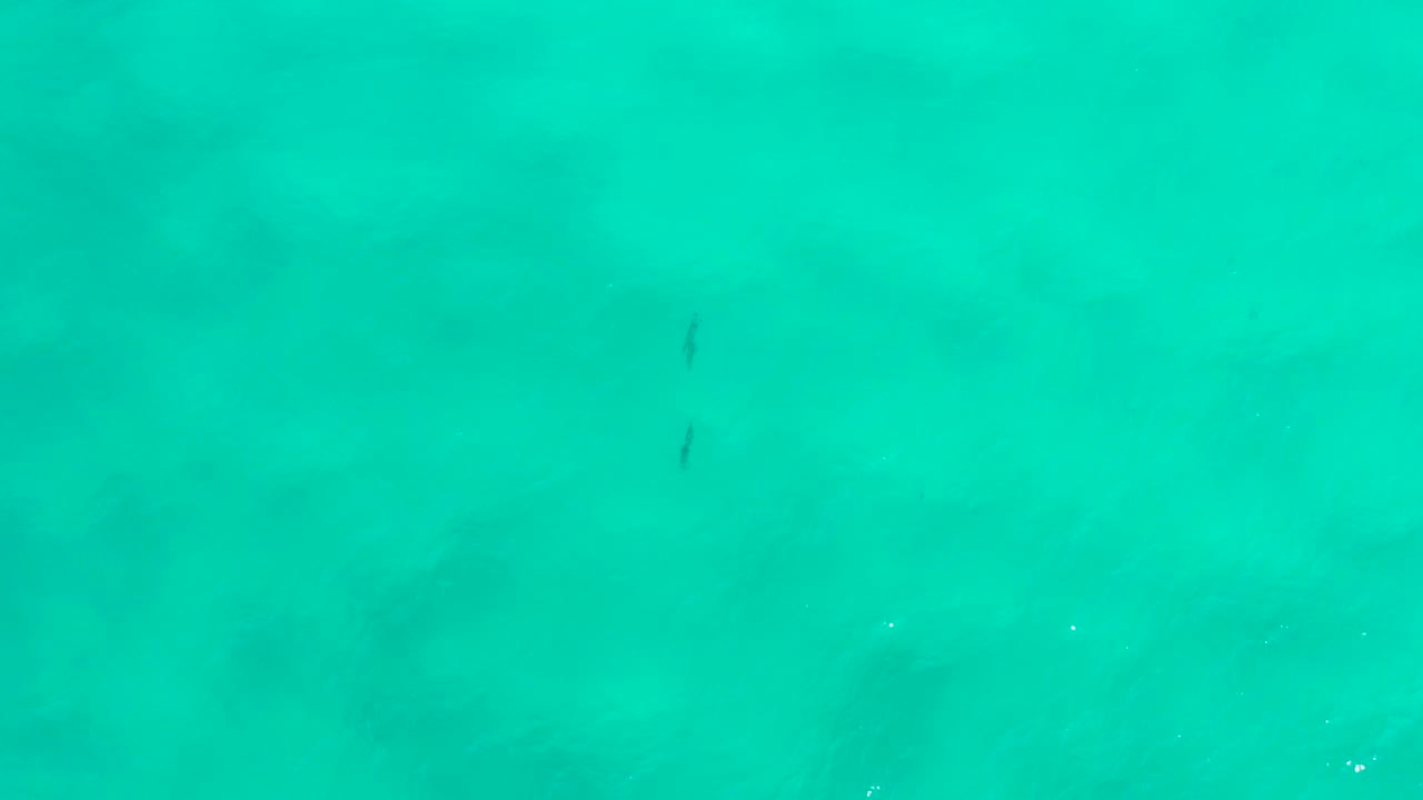 Clear aqua water in San Jose del Cabo fills the frame, with scattered bright specks and soft darker shapes beneath, with no visible people.