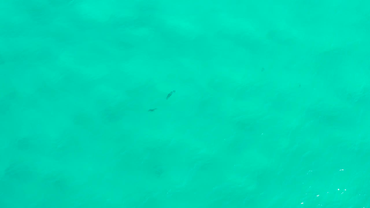 Blue-green sea water in San Jose Del Cabo, Mexico, shows faint seabed patches, tiny fish shapes, and no visible people.