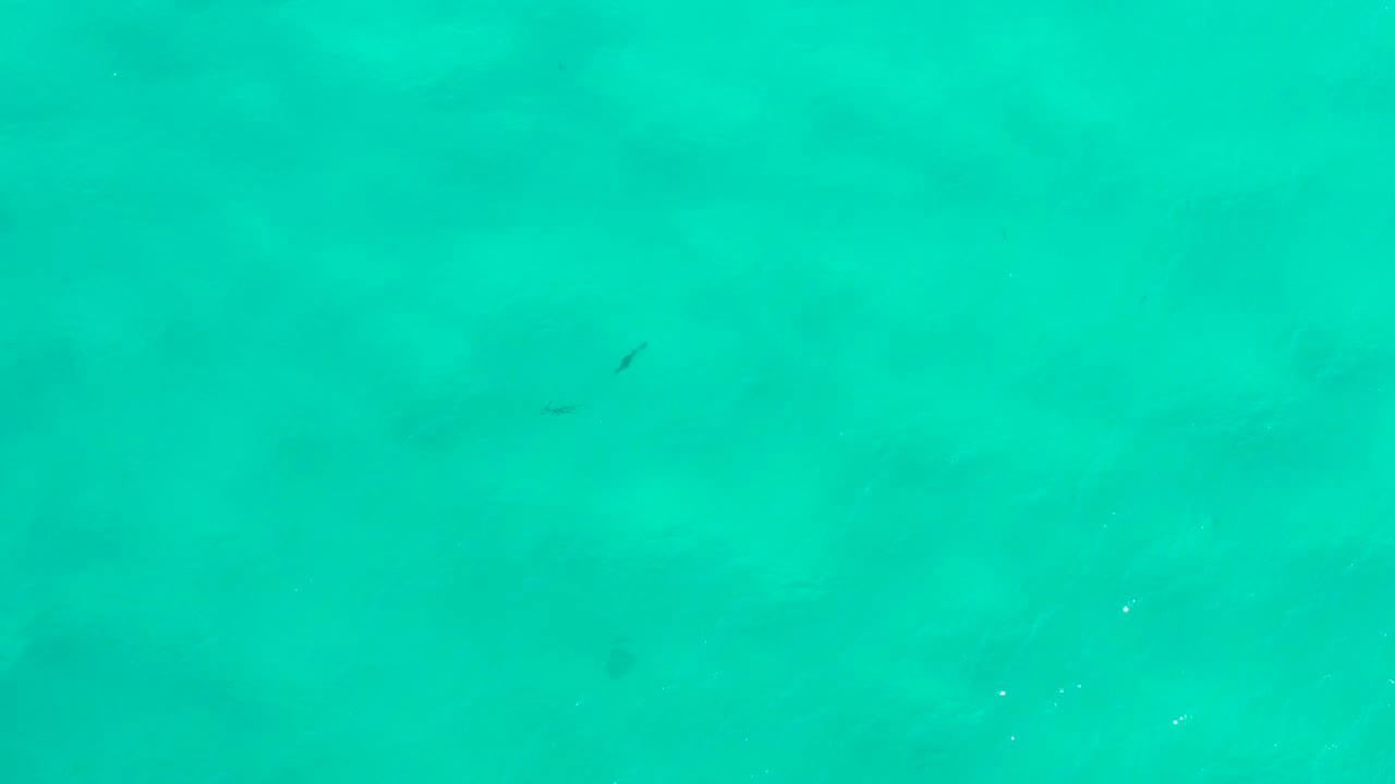 Turquoise water in San Jose Del Cabo, Mexico, with small fish near the upper portion, soft tonal bands, and no visible people.